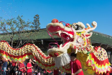 golden dragon parede sırasında Çin ejderha.