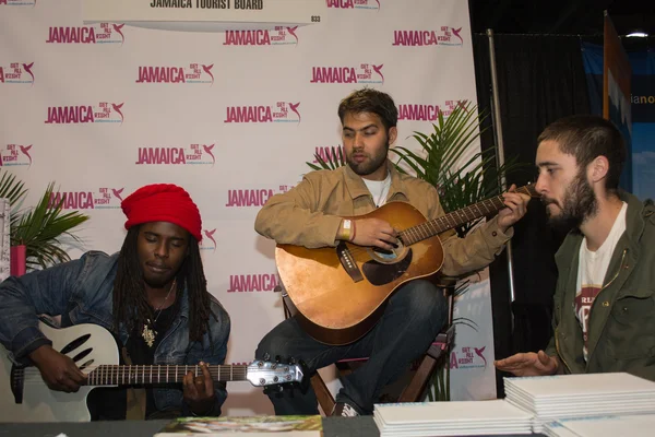 Daniel Bambaata Marley singer is the grandson of Bob Marley and — Stock Photo, Image