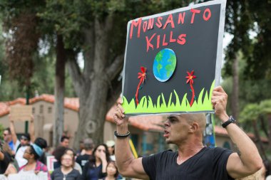 Protesters rallied in the streets against the Monsanto corporation clipart