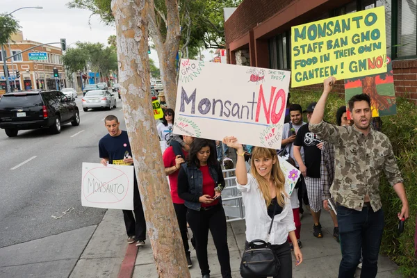 I manifestanti si sono radunati per le strade contro la corporazione Monsanto — Foto Stock