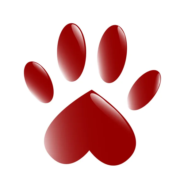 The Paw — Stock Photo, Image