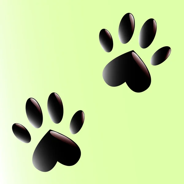 Two black paws — Stock Photo, Image