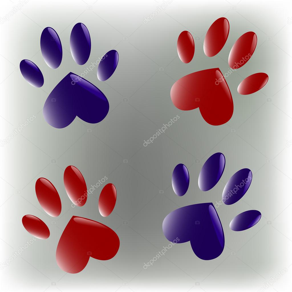 Blue and red paws