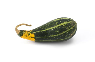 minyatür yeşil kabak