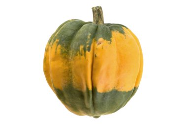 yeşil turuncu kabak