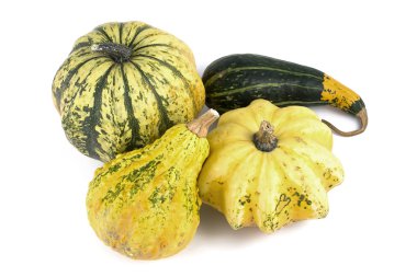 dört dekoratif kabaklar