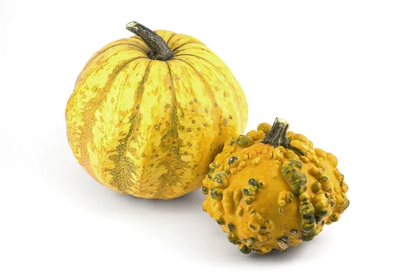 Two Decorative Pumpkins — Stock Photo, Image