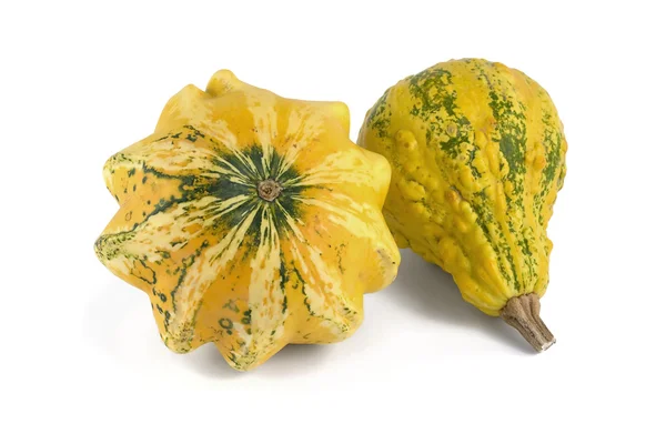Two Yellow Pumpkins — Stock Photo, Image