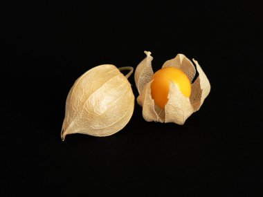 olgunlaştı physalis meyve