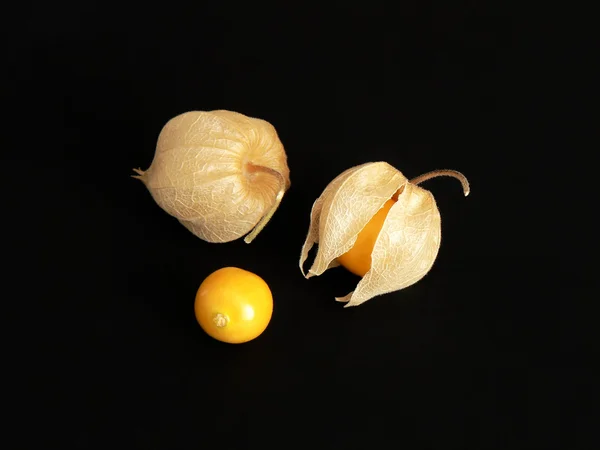 Tomates descascados — Fotografia de Stock