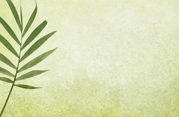 Sfondo Grunge verde con foglia di palma — Foto Stock