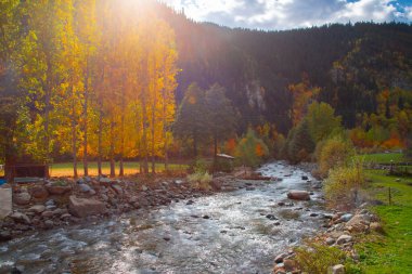Savsat Artvin Türkiye 'de Sonbahar