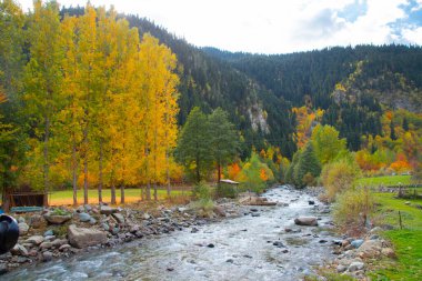 Savsat Artvin Türkiye 'de Sonbahar