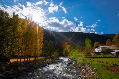 Savsat Artvin Türkiye 'de Sonbahar