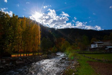Savsat Artvin Türkiye 'de Sonbahar