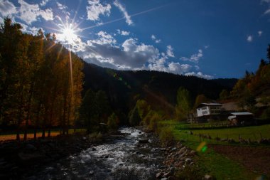 Savsat Artvin Türkiye 'de Sonbahar