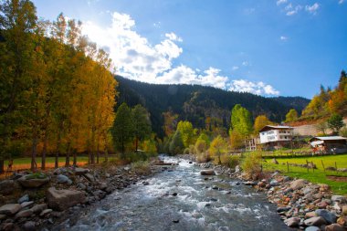 Savsat Artvin Türkiye 'de Sonbahar
