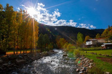 Savsat Artvin Türkiye 'de Sonbahar