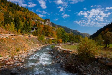 Savsat Artvin Türkiye 'de Sonbahar
