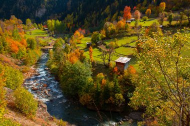Savsat Artvin Türkiye 'de Sonbahar