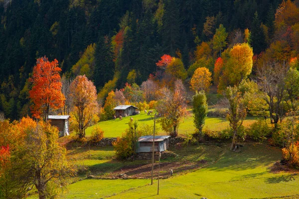 Jesień Savsat Artvin Turcja — Zdjęcie stockowe