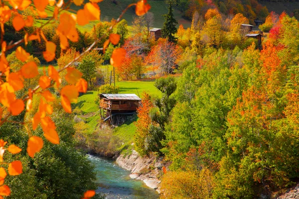 Automne Dans Savsat Artvin Turquie — Photo