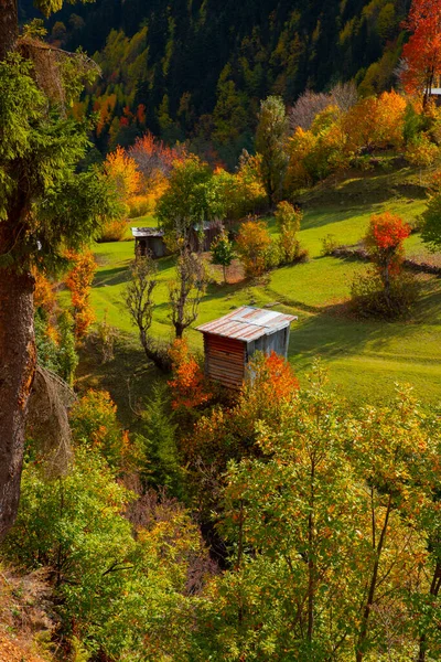 Jesień Savsat Artvin Turcja — Zdjęcie stockowe