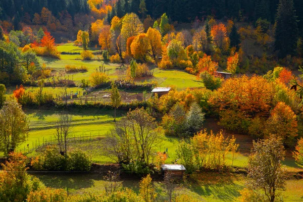 秋天在Savsat Artvin土耳其 — 图库照片
