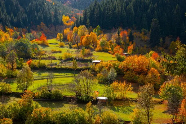 Savsat Artvin Türkiye Sonbahar — Stok fotoğraf