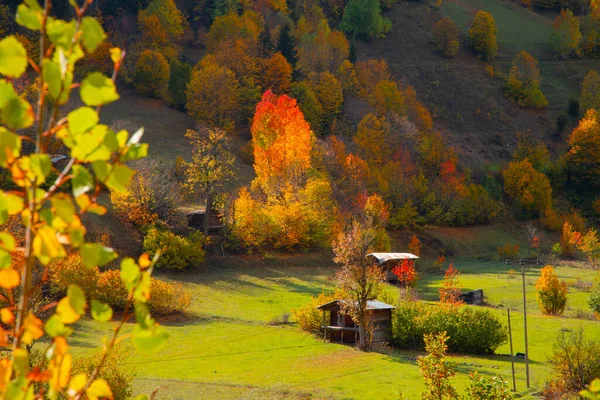 Φθινόπωρο Στην Τουρκία Savsat Artvin — Φωτογραφία Αρχείου