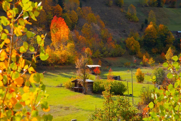 Φθινόπωρο Στην Τουρκία Savsat Artvin — Φωτογραφία Αρχείου