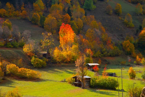 Jesień Savsat Artvin Turcja — Zdjęcie stockowe