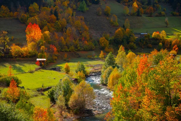 Φθινόπωρο Στην Τουρκία Savsat Artvin — Φωτογραφία Αρχείου