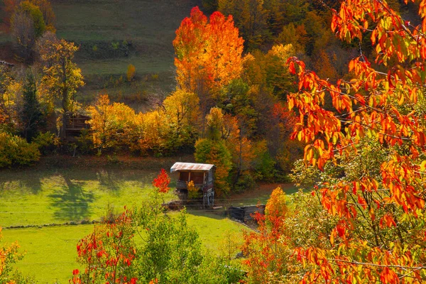 Podzim Turecku Savsat Artvin — Stock fotografie