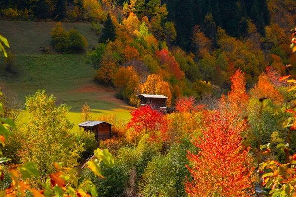 Φθινόπωρο Στην Τουρκία Savsat Artvin — Φωτογραφία Αρχείου