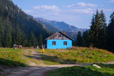 Savsat Artvin Türkiye 'de Sonbahar