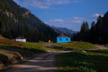 Savsat Artvin Türkiye 'de Sonbahar