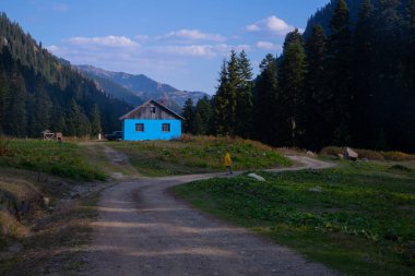 Savsat Artvin Türkiye 'de Sonbahar