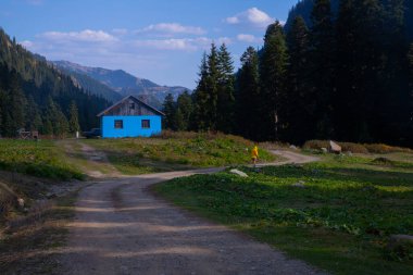 Savsat Artvin Türkiye 'de Sonbahar