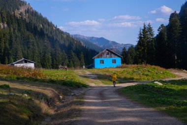 Savsat Artvin Türkiye 'de Sonbahar