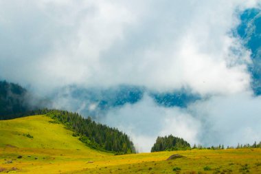 Gito yaylası Kakar Dağları eteklerinde