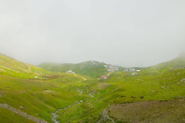 Gito yaylası Kakar Dağları eteklerinde
