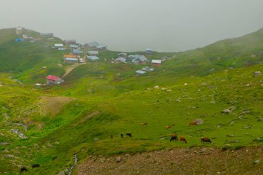Gito yaylası Kakar Dağları eteklerinde