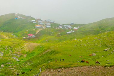 Gito yaylası Kakar Dağları eteklerinde