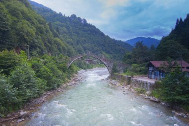 Firtina vadisi, Rize 'deki ünlü senyuva cinciva taş köprüsü.