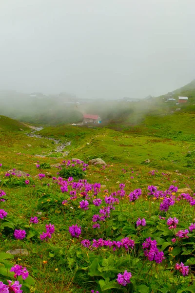 カカル山脈の麓にあるギトー高原 — ストック写真