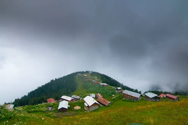 Pokut Plateau Rize Camlihemsin Pokut Płaskowyżu Morzu Czarnym Turcji Rize — Zdjęcie stockowe