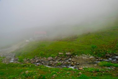 Samanyolu ve yıldız fotoğrafları, peyzaj ve doğayı takip ediyor