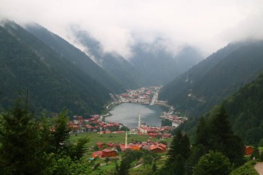 Samanyolu ve yıldız fotoğrafları, peyzaj ve doğayı takip ediyor