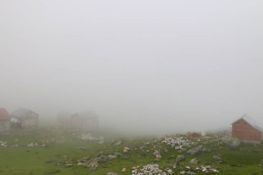 Samanyolu ve yıldız fotoğrafları, peyzaj ve doğayı takip ediyor